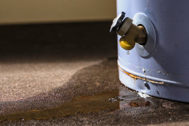  Timberne, LA Water damage restoration Pros