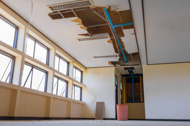 Best Flood restoration services  in Timberne, LA