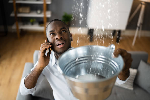 Best 24-hour water damage restoration  in Timberne, LA