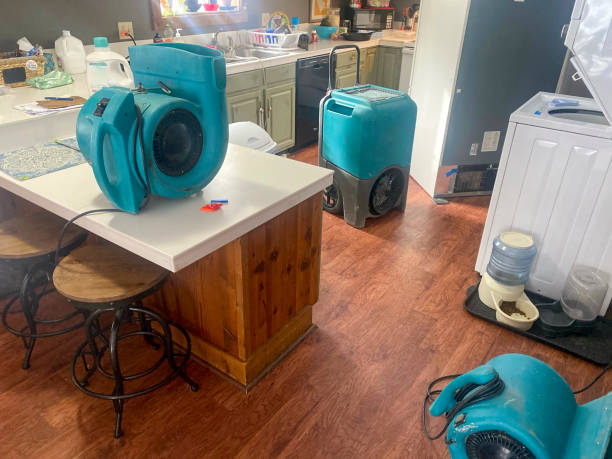 Best Flood damage cleanup  in Timberne, LA