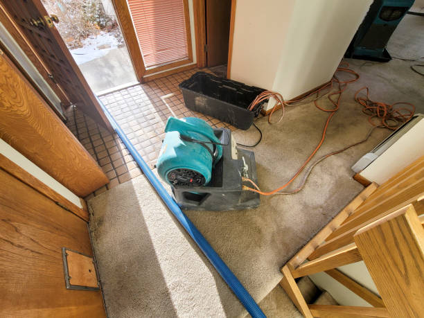 Best Water damage restoration mold remediation  in Timberne, LA