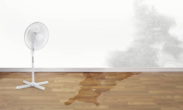 Best Water damage restoration near me  in Timberne, LA