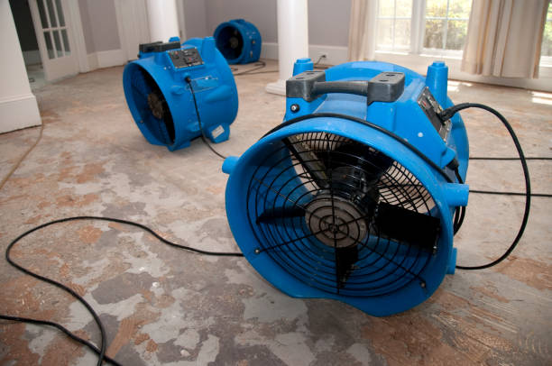 Best 24/7 water damage repair  in Timberne, LA
