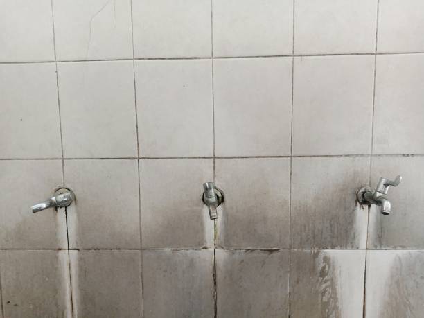 Best Emergency water damage restoration  in Timberne, LA