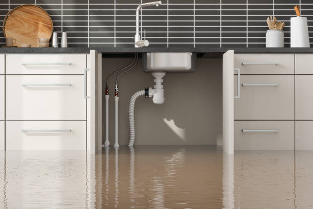Best Water damage restoration insurance claims  in Timberne, LA