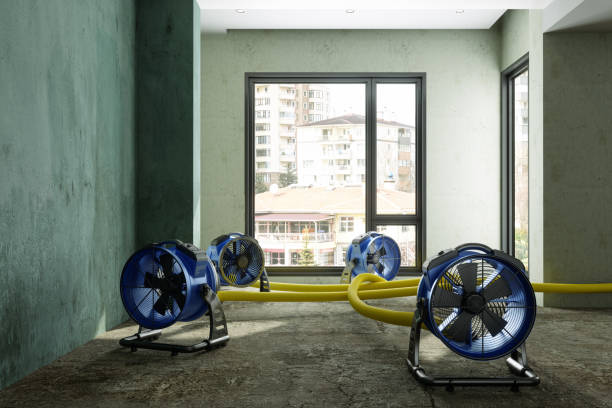 Best Emergency water damage restoration  in Timberne, LA