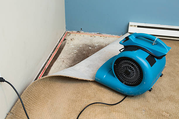 Best Fire Damage Restoration  in Timberne, LA